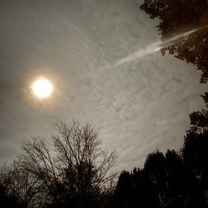 Meet your Posher, Charles